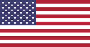 USA 50 Star 3'x5' Flag